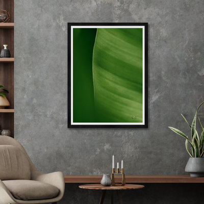 Moshi Banana Leaf