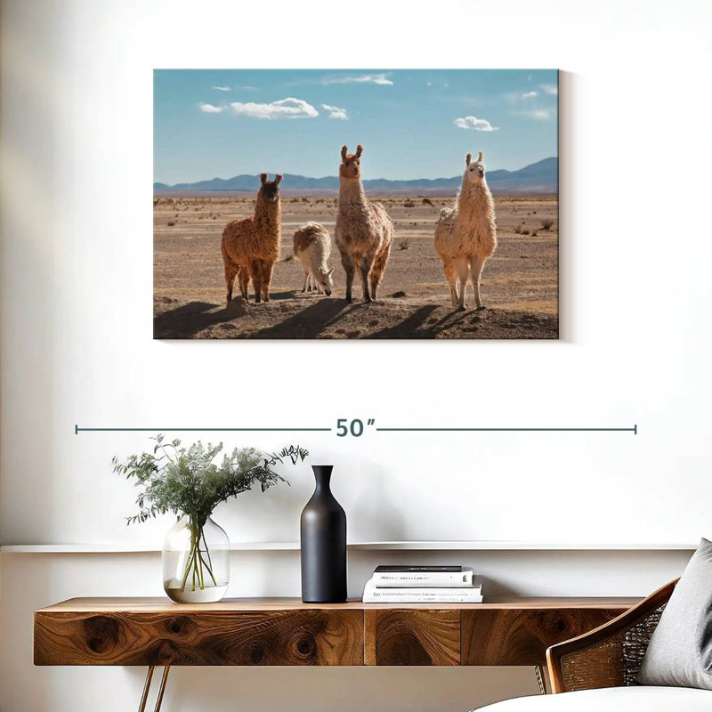 Four Llamas, 24" H x 36" W