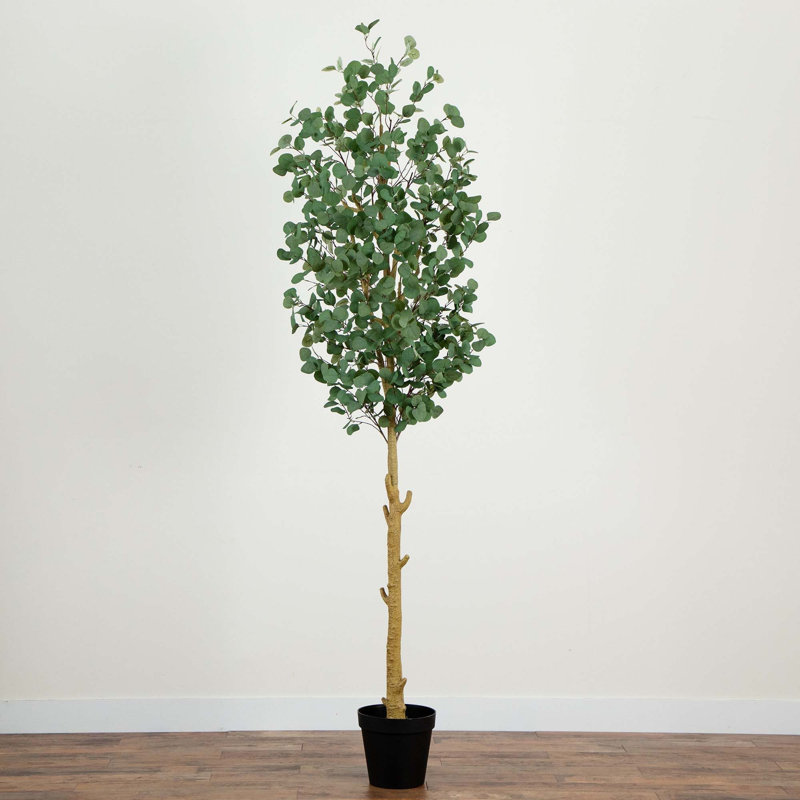 108 po Faux eucalyptus en pot
