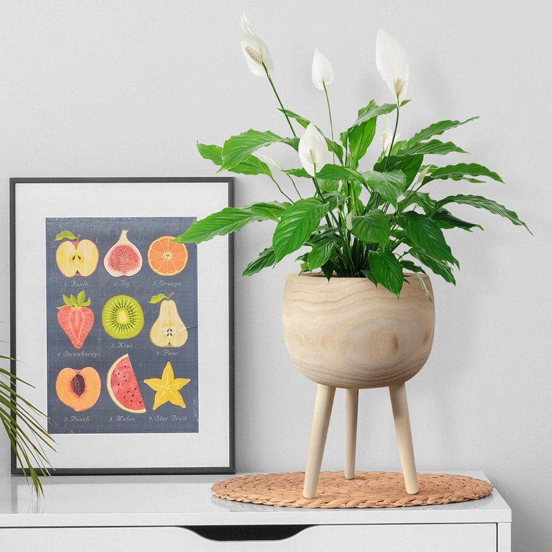 Wood Pot Planter, 36cm H x 23cm W x 23cm D
