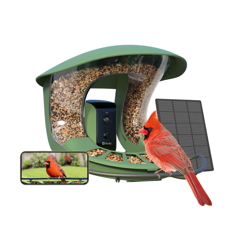 Birdfy 2 Smart Bird Feeder with Camera, 1080P HD, AI Bird Recognition, Wireless, Weatherproof, Eco-Friendly Design, Easy Installation, Live Sharing & Cloud Storage