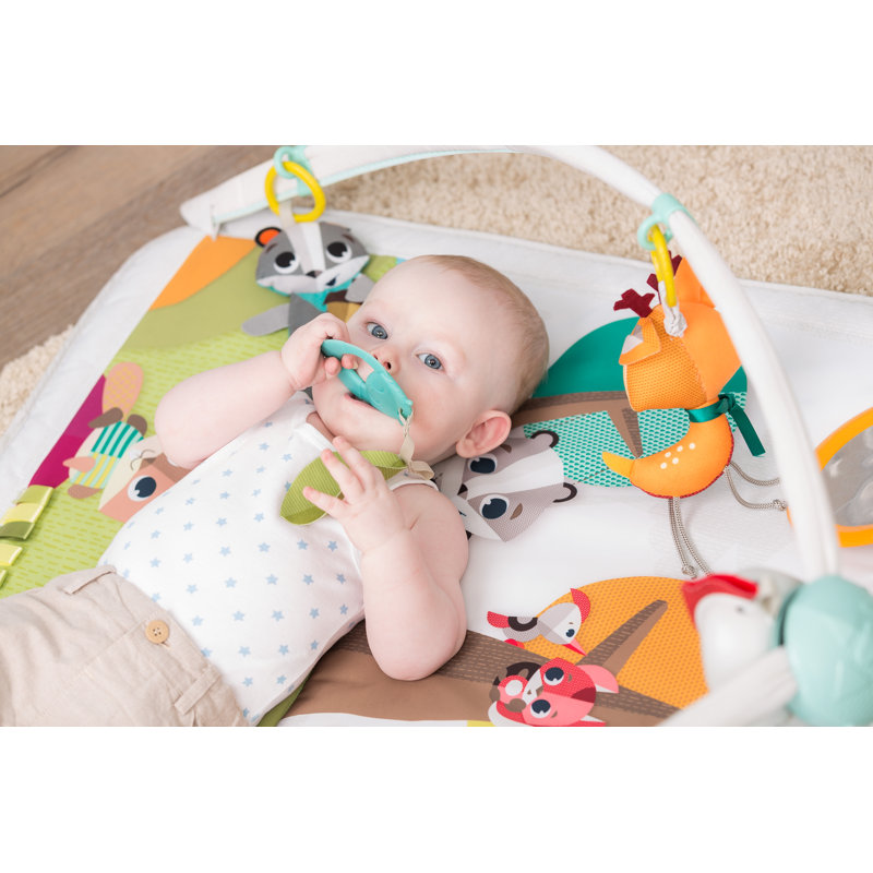 31'' L with Hanging Toys