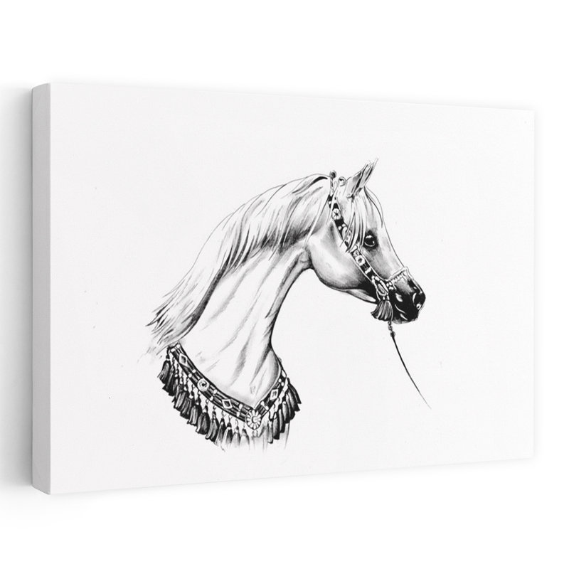 Cheval, dessin, croquis, 16, abstrait, coloré, rétro, portrait de cheval, paysage, impression murale, H 16 po x l 24 po