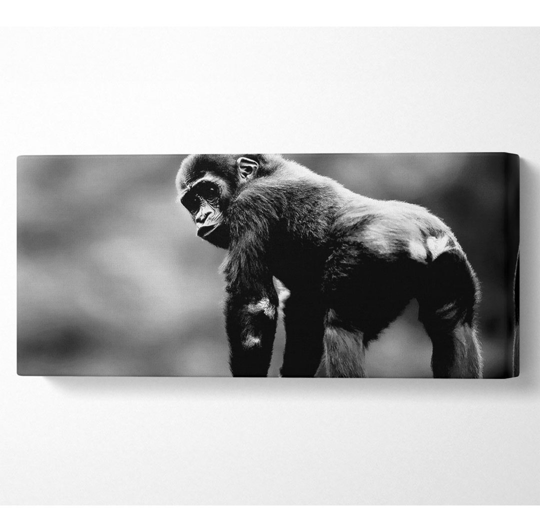 Frecher Affe - Kunstdrucke auf Leinwand - Wrapped Canvas