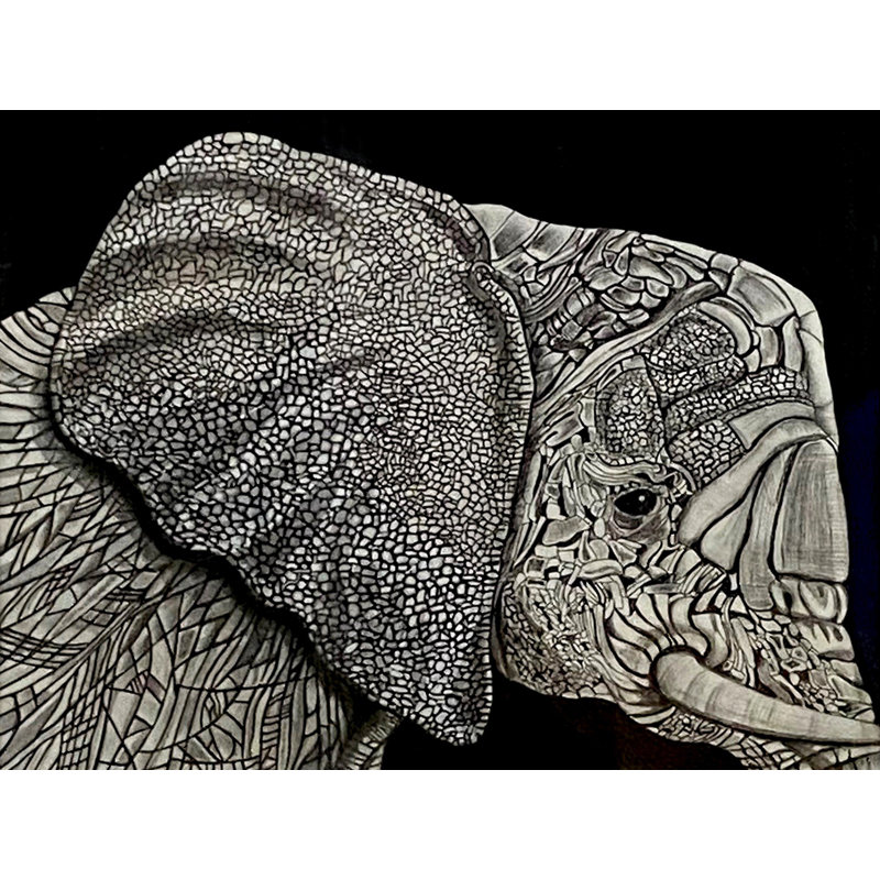Peinture d'éléphant par Yogyata Gadia | Acrylique et stylo sur papier | Avec cadre