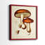 «Mushroom Variétés VI», reproduction encadrée de qualité supérieure - prête à être accrochée - aucun clou requis - aucun clou requis-767516556-767516594