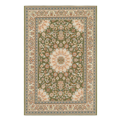 Indoor/Outdoor Traditional Area Rug