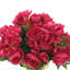 Arrangement floral bégonia dans un vase-934865844