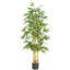 Bambou en soie-764344768