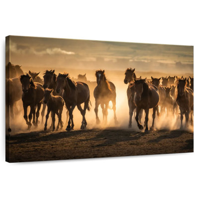 Chevaux de la Cappadoce Brampt