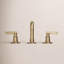 Castia by Studio McGee Widespread Bathroom Sink Faucet 1.2 GPM-2001071828