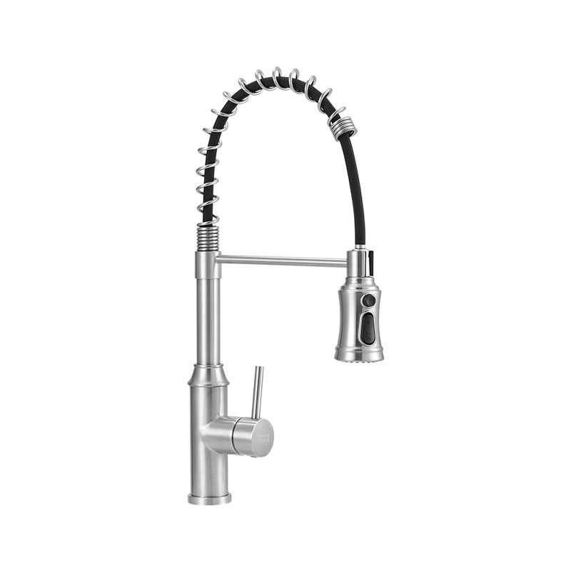 Belfry Kitchen Pull Out Kitchen Faucet, Silver