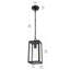 Luminaire suspendu d'extérieur noir 13 po Allson