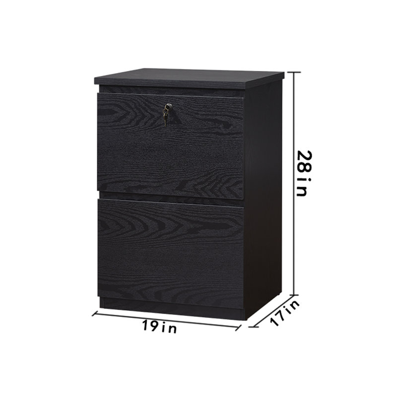 19'' Wide 2 -Drawer File Cabinet, Black