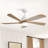 Sofucor 52" 5-Solid Blade Smart Modern Ceiling Fan with LED Light，Remote-1358021464