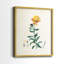 Traditional Botanical III - reproduction encadrée de qualité supérieure - prête à être accrochée - aucun clou requis - aucun clou requis-1930842192-1930842197