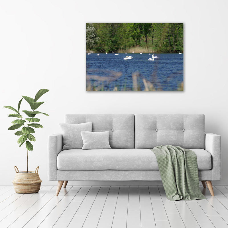White Swans - No Frame Print on Canvas