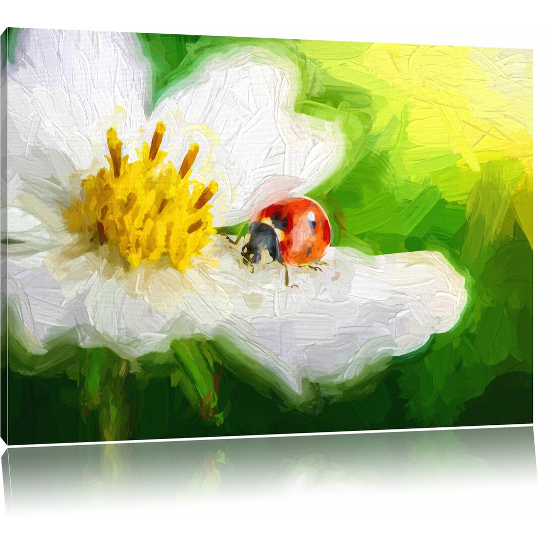 Leinwandbild "Marienkäfer auf einer weißen Blume", Grafikdruck