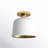 Che 1-Light Dimmable Metal Semi Flush Mount-1365385513-1365385509
