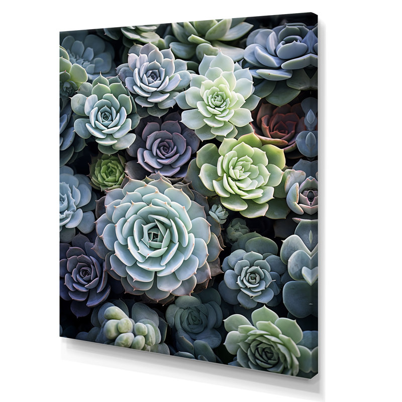 Plantes grasses vertes Jelizaveta Serene I, H 40 po x l 30 po x P 1,5 po, Toile tendue