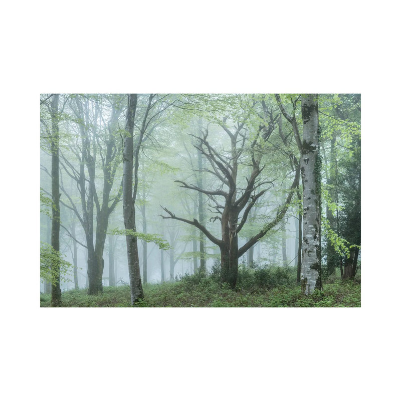 The Secret Lovers by Adam Burton - Wrapped Canvas Print, 20.32 cm H x 30.48 cm W