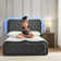 Queneisha Upholstered Storage Bed