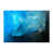 Blue selected