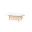 Cleo Glass Coffee Table-561644540