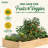 Katsuyoshi Wood Raised Garden Bed-689863015-689863010