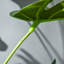 100cm Faux Foliage Plant in Pot