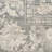 Shadows Power Loom Polyester Floral Area Rug -464851419