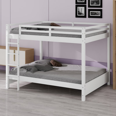 Contemporary Bunk Bed with Ladder for Bedroom