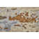Wool Abstract Indoor Rug