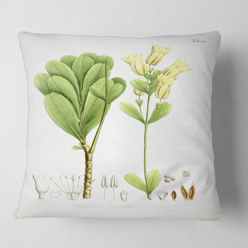 Housse et insert de coussin brésilien brésilien Plant III, 16" x 16"