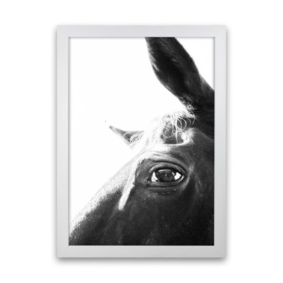Eye of the Beholder 1 Piece Wall Art