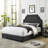 Benedict Upholstered Headboard-1477194209-1477194223