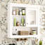 Armoire de rangement 32 po pour salle de bain avec miroir, 4 tablettes murales, rangement pour miroir, propre-722758113
