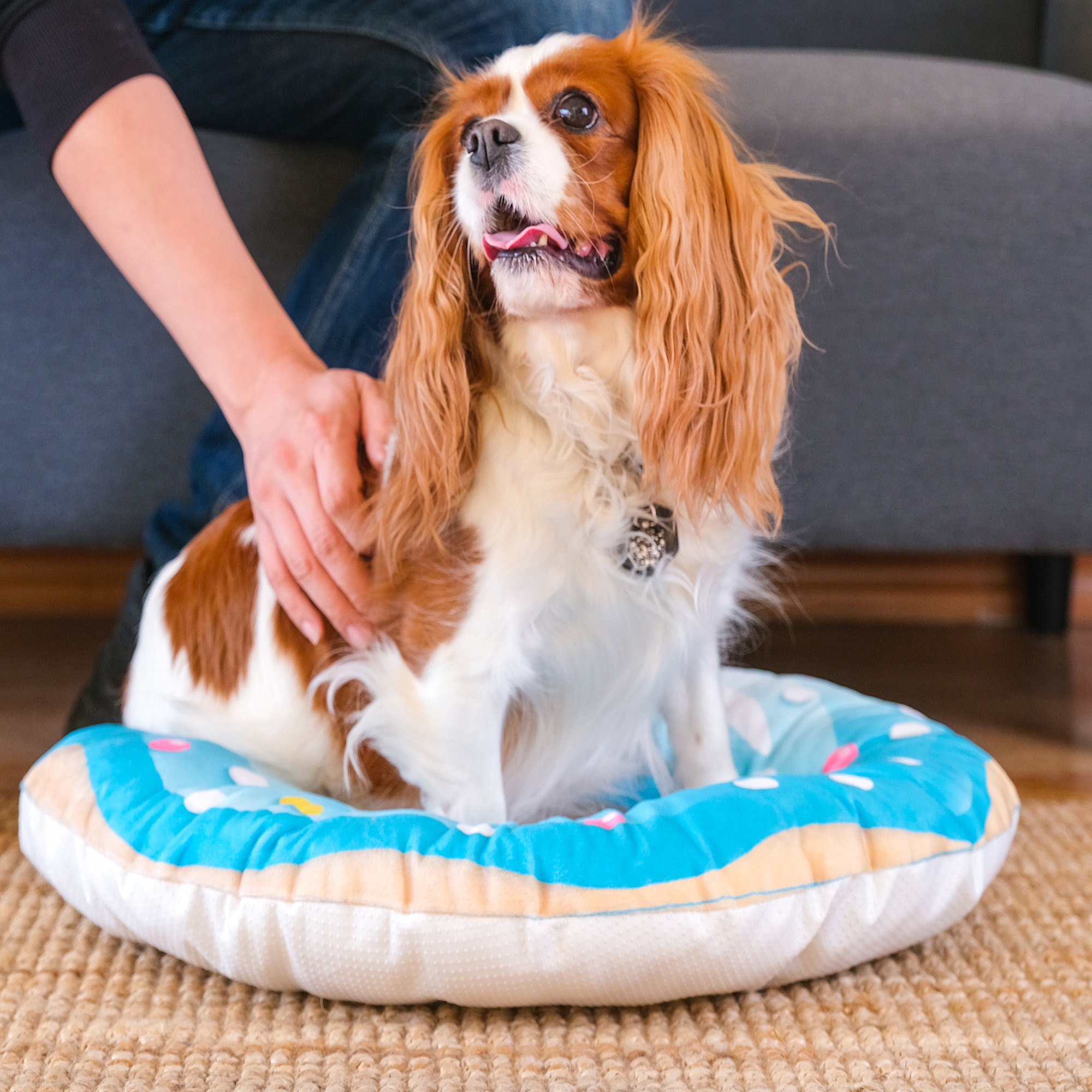 Dog store donut pillow