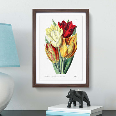 Rough-Stemmed Tulips - Picture Frame Graphic Art Print