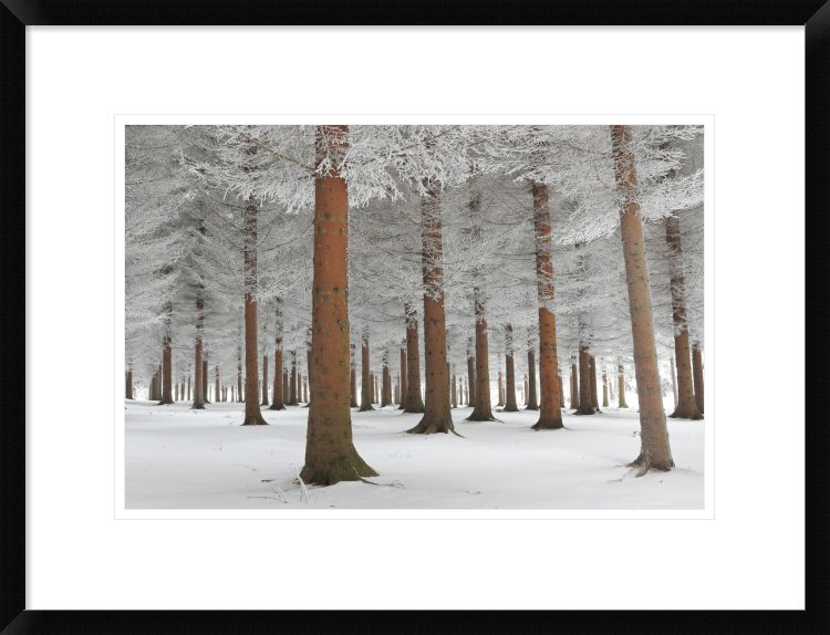 'In White' by Dragisa Petrovic Framed Photographic Print Global Gallery 