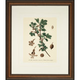 Verde Tinted Botanical IV Print
