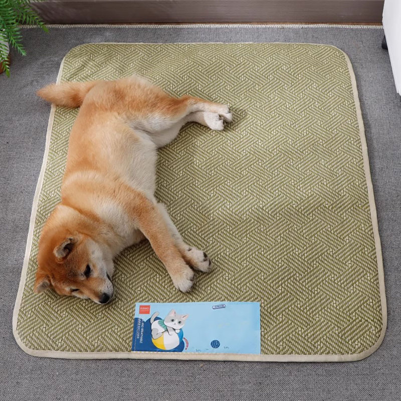 Tapis pour animaux, Moyen (l 29,4 po x P 21,5 po x H 1 po)