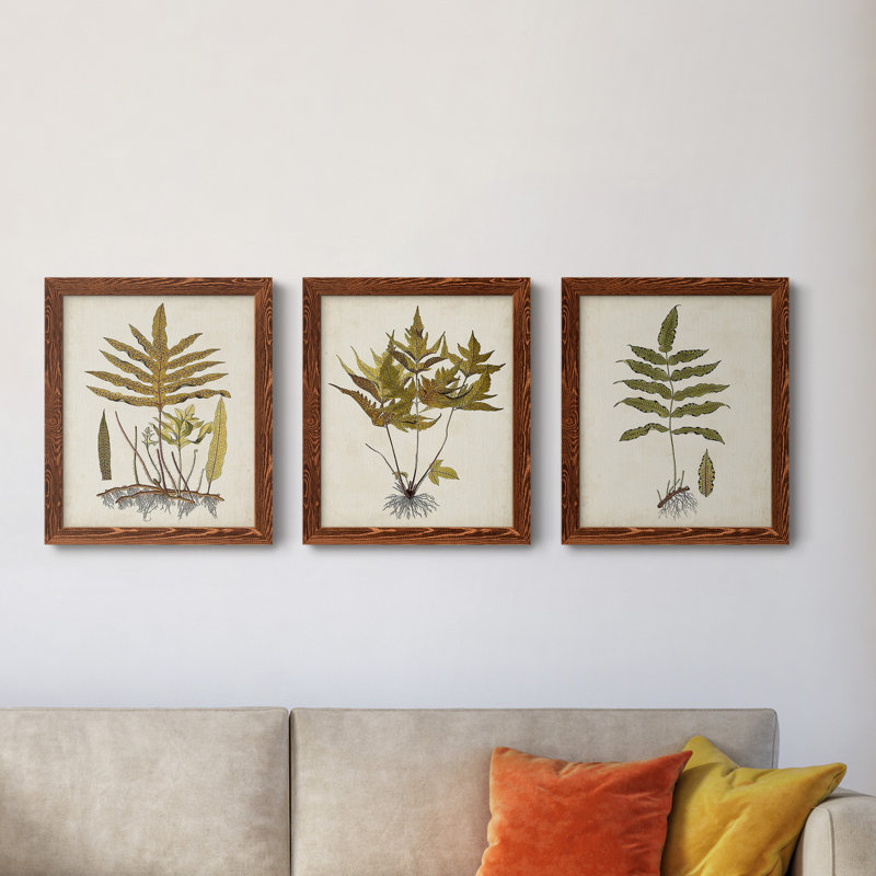 Fern Botanical I - Ensemble de 3 peintures sur toiles encadrées, H 24 po x l 36 po x P 1,5 po, Érable