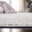 Tapis Webster 300 Performance-1773694949
