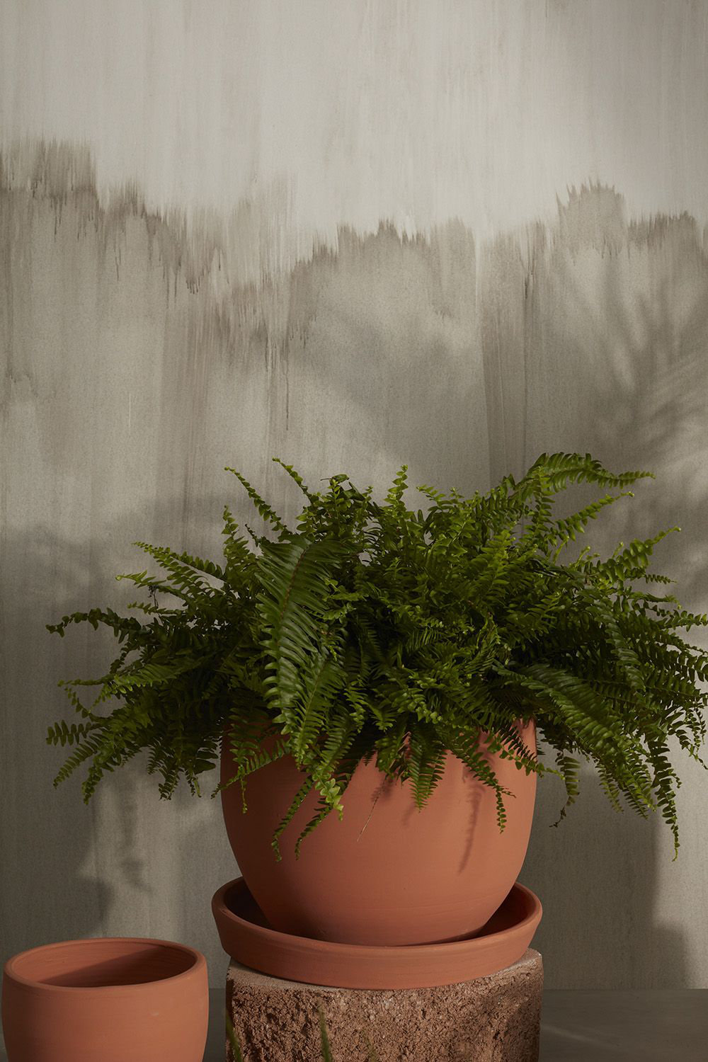 Elisabeth 14" Ceramic Pot Planter, 14.5" H x 14.25" W x 14.25" D