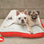 Lit pour chien Serengeti-6144210
