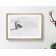 Magpie in Flight in Abstract - Picture Frame Graphic Art Print