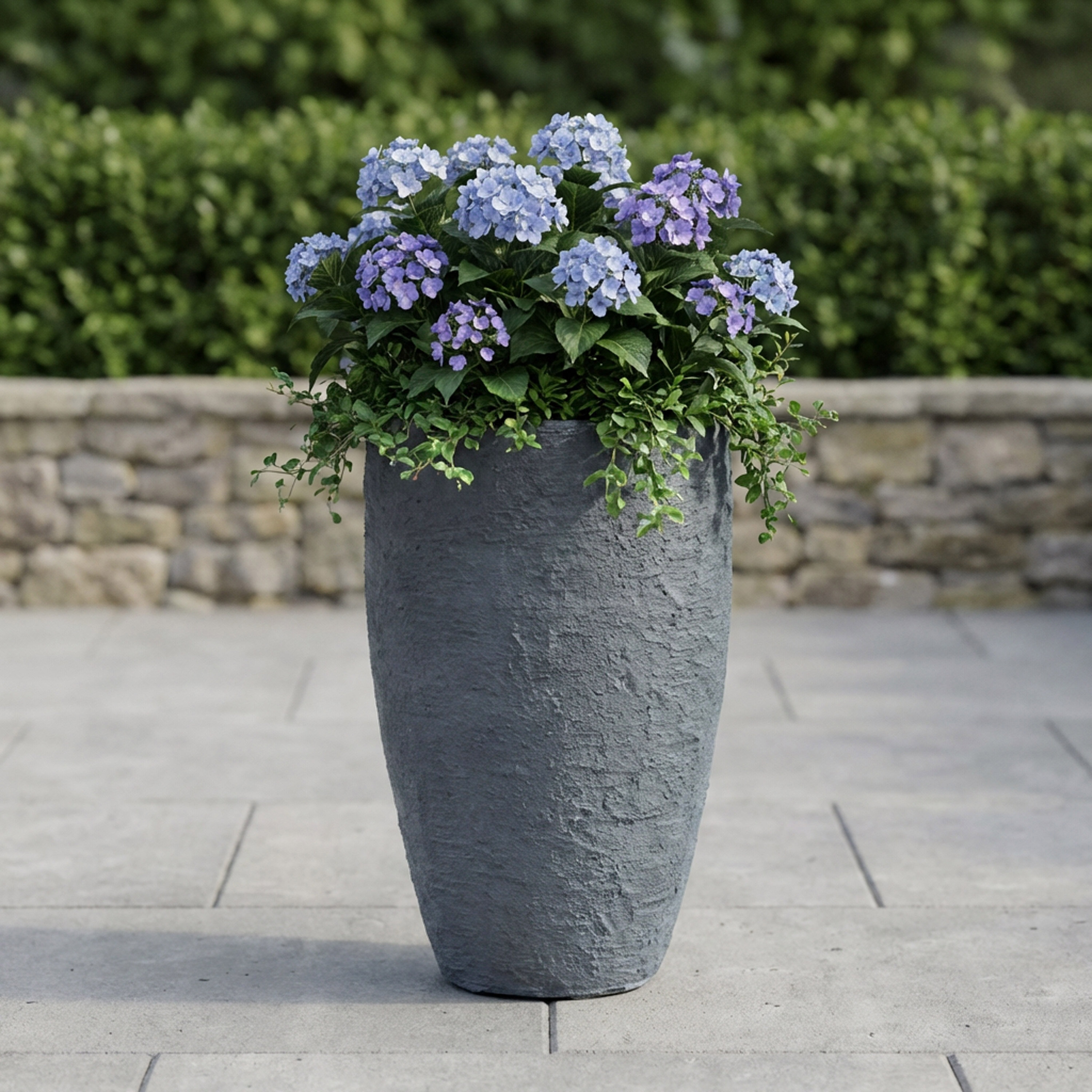 3 inch pots for succulents 6 Pack main image 0