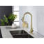 Red Cloud Pull Down Kitchen Faucet-86879991