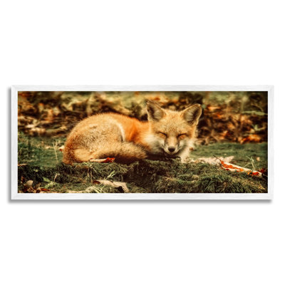 " Sleeping Fox Kit Peaceful Forest Floor Lush Nature " Print